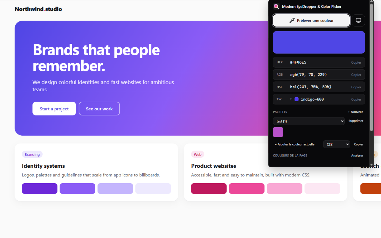 Le popup en thème sombre avec une palette et le menu d'export CSS