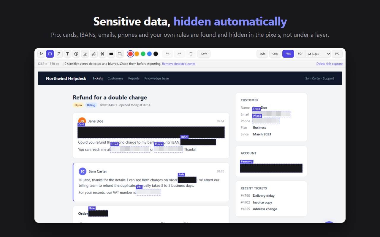 The Snapveil editor: card, IBAN, emails, phone numbers, VAT and password found and hidden, each area with its label